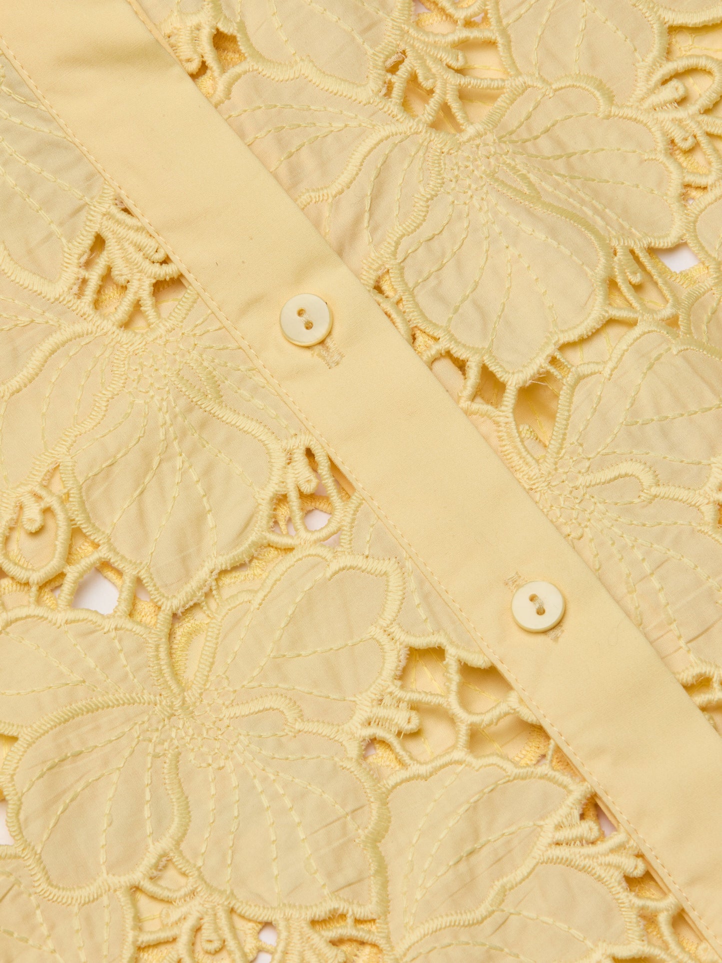 Seychelle Cropped Eyelet Blouse
