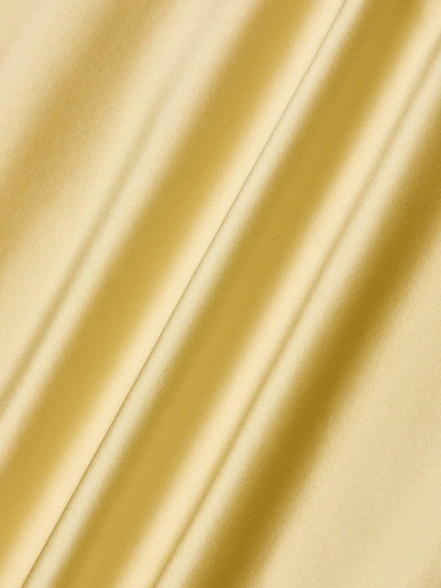 Seridie Silk Slip Dress