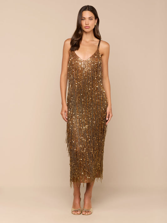 Noella Sequin Fringe Dress