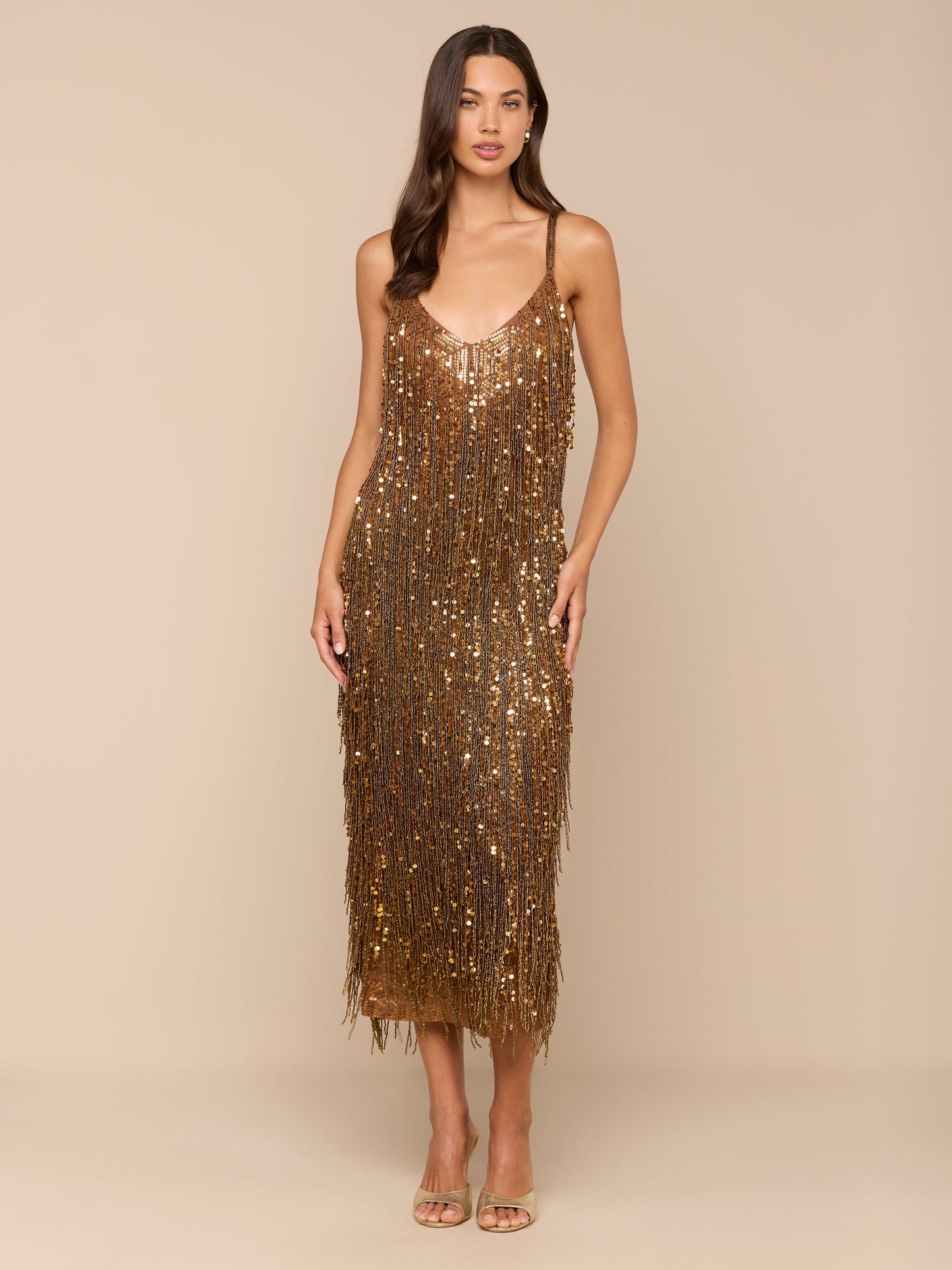 Noella Sequin Fringe Dress
