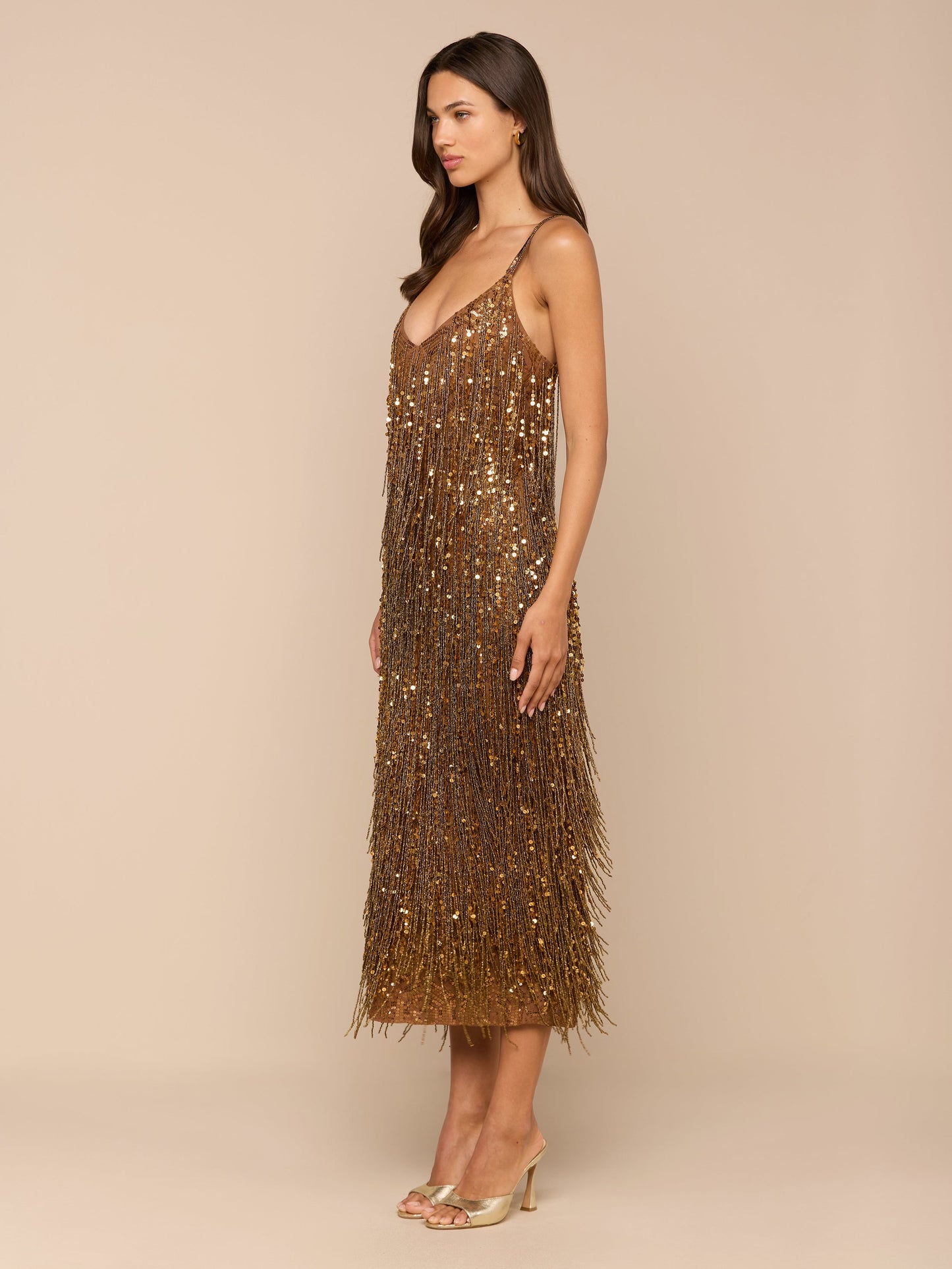 Noella Sequin Fringe Dress