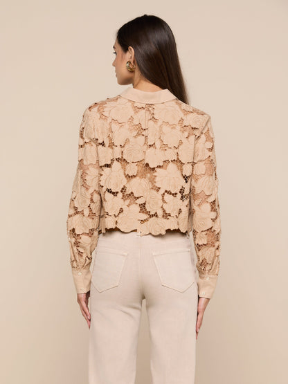 Seychelle Cropped Eyelet Blouse